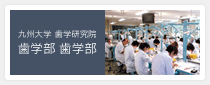 九州大学 歯学研究室 歯学部 歯学科
